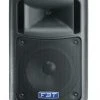 FBT Evo2MaxX 2A Active Loudspeaker